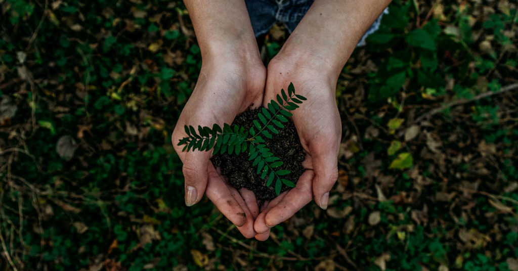 hands holding plant in dirt earth day 2020